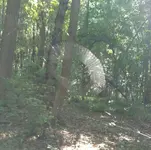 _20160804_184029.webp