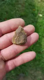 ImageUploadedByTreasureNet.com1474171478.348355.webp