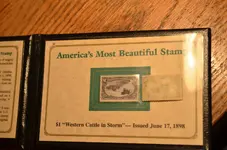 Stamp Western Cattle 1898 (3)001.webp