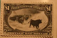 Stamp Western Cattle 1898 (5)001.webp