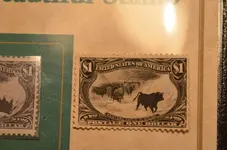 Stamp Western Cattle 1898 (9)001.webp
