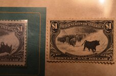 Stamp Western Cattle 1898 (11)001.jpg