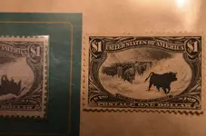 Stamp Western Cattle 1898 (11)001.webp