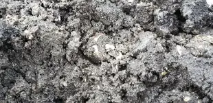 dirty pic resized.webp