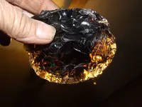 DSCF1236.webp