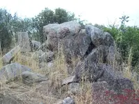 101_0337.webp