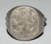 Lion Ring.webp