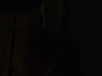 DSCF1380.webp