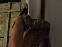 DSCF1381.webp