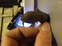 DSCF1384.webp