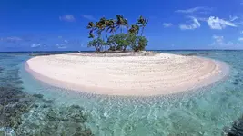 image.webp