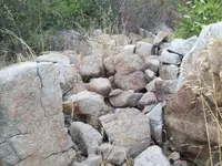 101_0339.webp