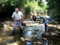 Creek Dig 8-21-2016.webp