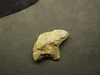 DSCF1477.webp