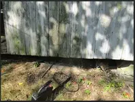 RED OAK HOT 3.webp