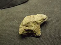 DSCF1478.webp