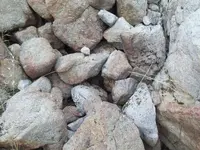 101_0343.webp