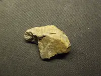 DSCF1484.webp
