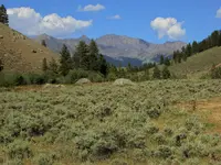 trip 072816 3.webp