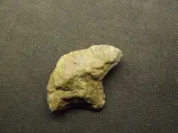 DSCF1486.webp