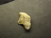 DSCF1488.webp