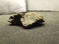 DSCF1490.webp