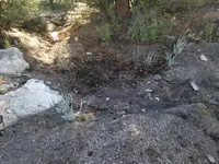 BlackSand2.webp