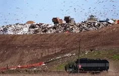 landfill image.webp