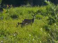 bike ride wyo 081316 3.webp