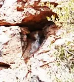 hole-marker--head.webp