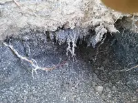 BlackSand5.webp