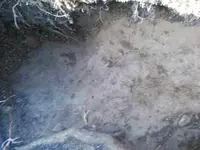 BlackSand7.webp
