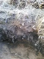 BlackSand10.webp BlackSand10.webp