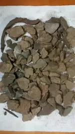 1470386268843.webp