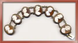cam bracelet.webp