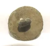 button2.webp