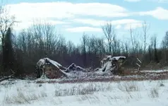 old barn.webp