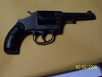 Colt 2.webp