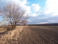 100_4889.webp