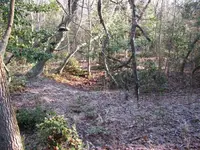 Site224.webp