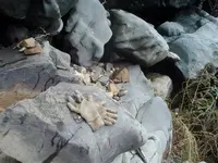 12 30 07 030.webp