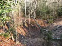 CellarholeSideView.webp