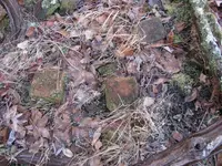 homesteadbrickscellarhole.webp homesteadbrickscellarhole.webp
