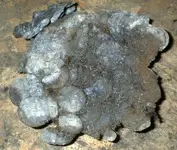 clump 001 (2).webp