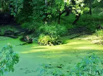 K1600_DSCN5093.webp