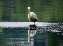 DSCN5344.webp