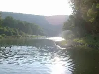ImageUploadedByTreasureNet.com1473454384.321621.webp