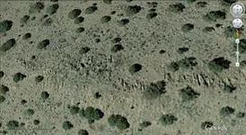 Area 1..webp