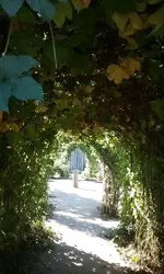 20160925_101535.webp