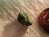 Best chr. diopside.webp
